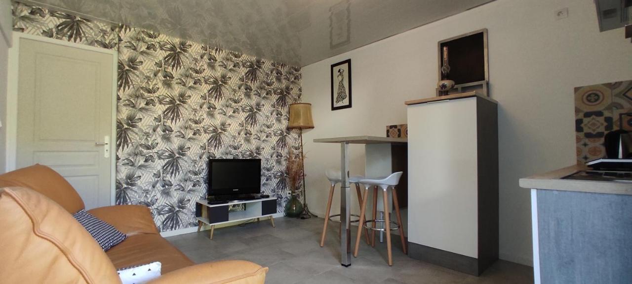 מונפלייה Bel Appartement Cosy Independant, Jolie Terrasse מראה חיצוני תמונה